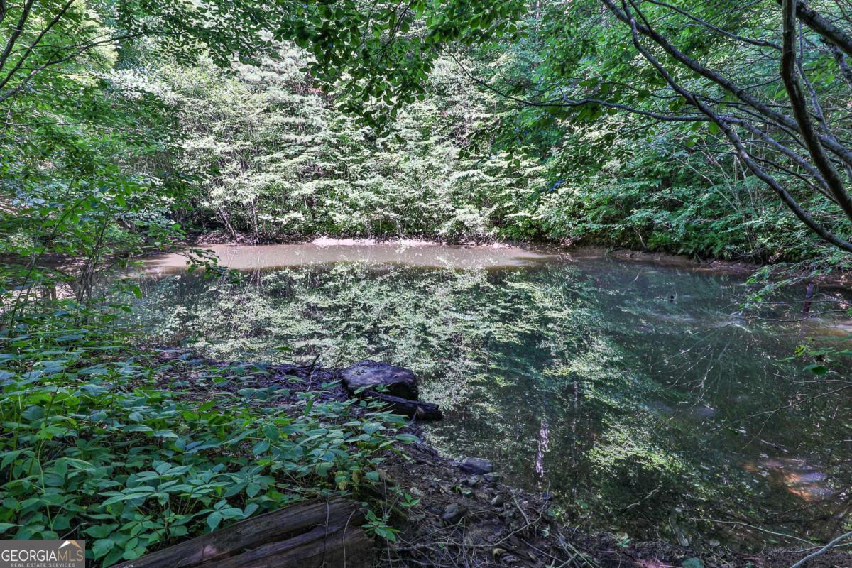 51-acre Mountain Cove Way, Unit 18 Cherry Log, GA 30522 - Photo 27 of 31