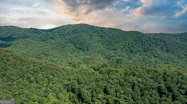 $1,800,000 | 51-acre Mountain Cove Way, Unit 18, Cherry Log, GA 30522