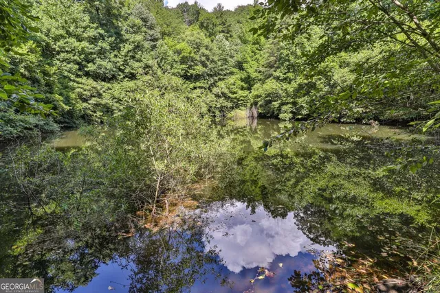 $1,800,000 | 51-acre Mountain Cove Way, Unit 18, Cherry Log, GA 30522