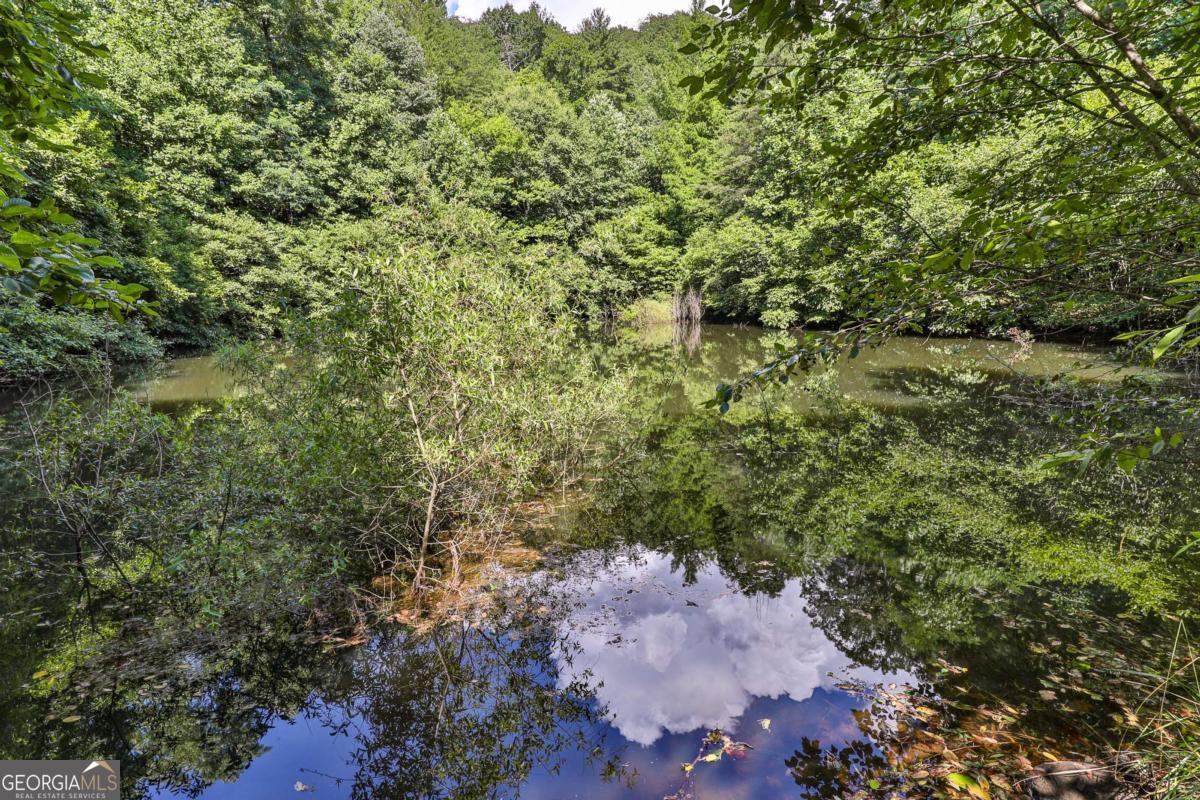 51-acre Mountain Cove Way, Unit 18 Cherry Log, GA 30522 - Photo 30 of 31