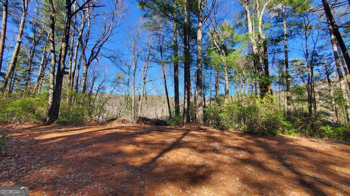 51-acre Mountain Cove Way, Unit 18 Cherry Log, GA 30522 - Photo 4 of 31