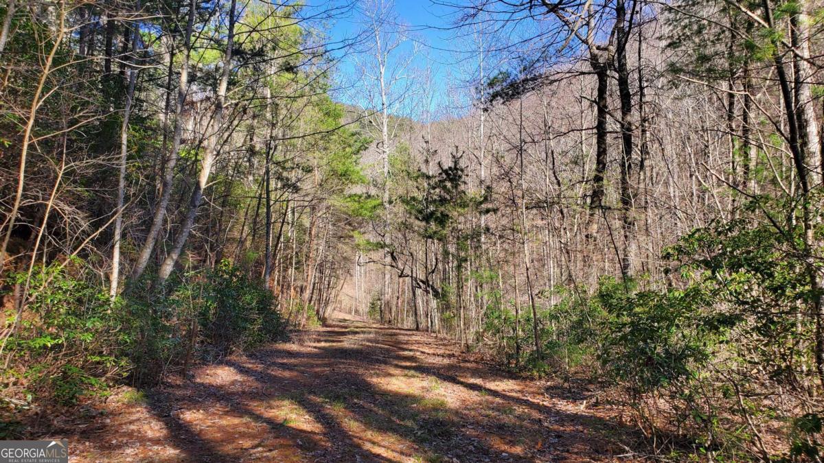 51-acre Mountain Cove Way, Unit 18 Cherry Log, GA 30522 - Photo 5 of 31