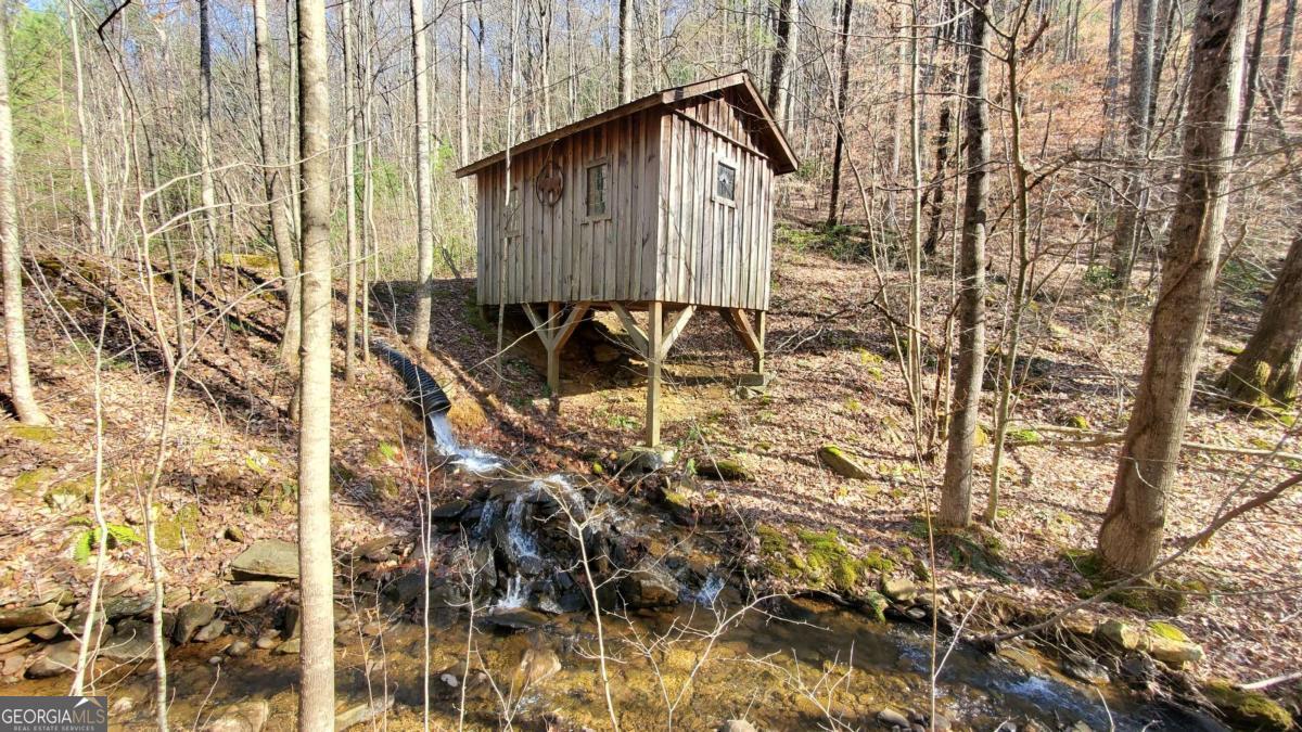 51-acre Mountain Cove Way, Unit 18 Cherry Log, GA 30522 - Photo 6 of 31