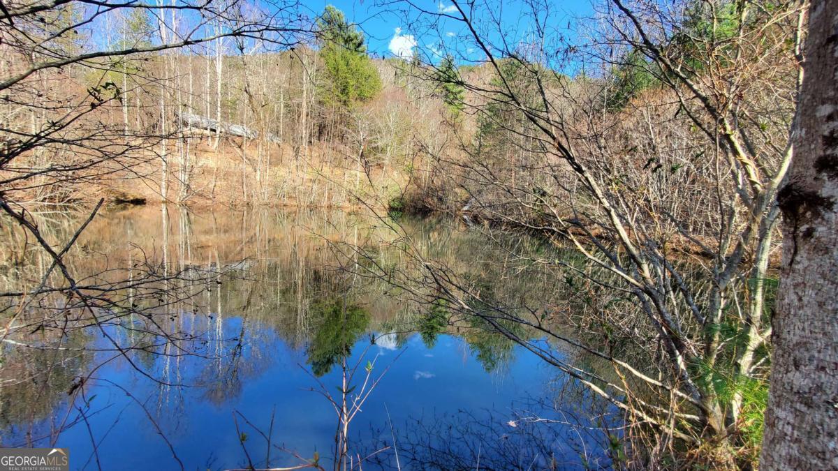 51-acre Mountain Cove Way, Unit 18 Cherry Log, GA 30522 - Photo 7 of 31