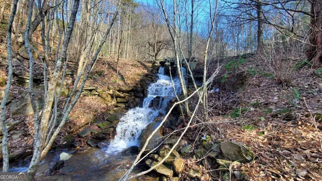 $1,800,000 | 51-acre Mountain Cove Way, Unit 18, Cherry Log, GA 30522