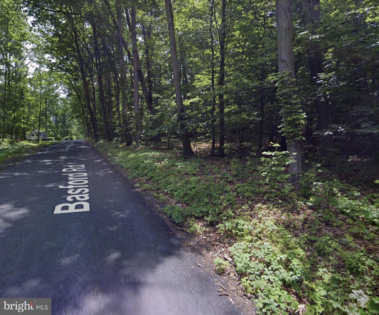 Elmer Derr Road Frederick, MD 21703 - Photo 3 of 3 a view of a trees with a tree