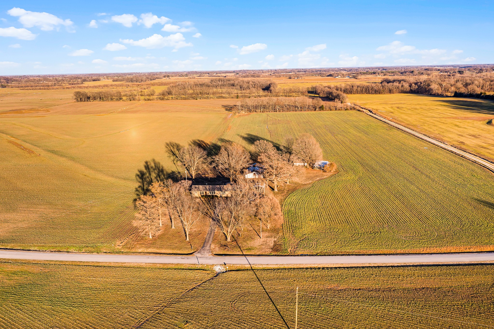 1734 A Riddick Road Friendship, TN 38034 - Photo 2 of 27 Gallery Image 2