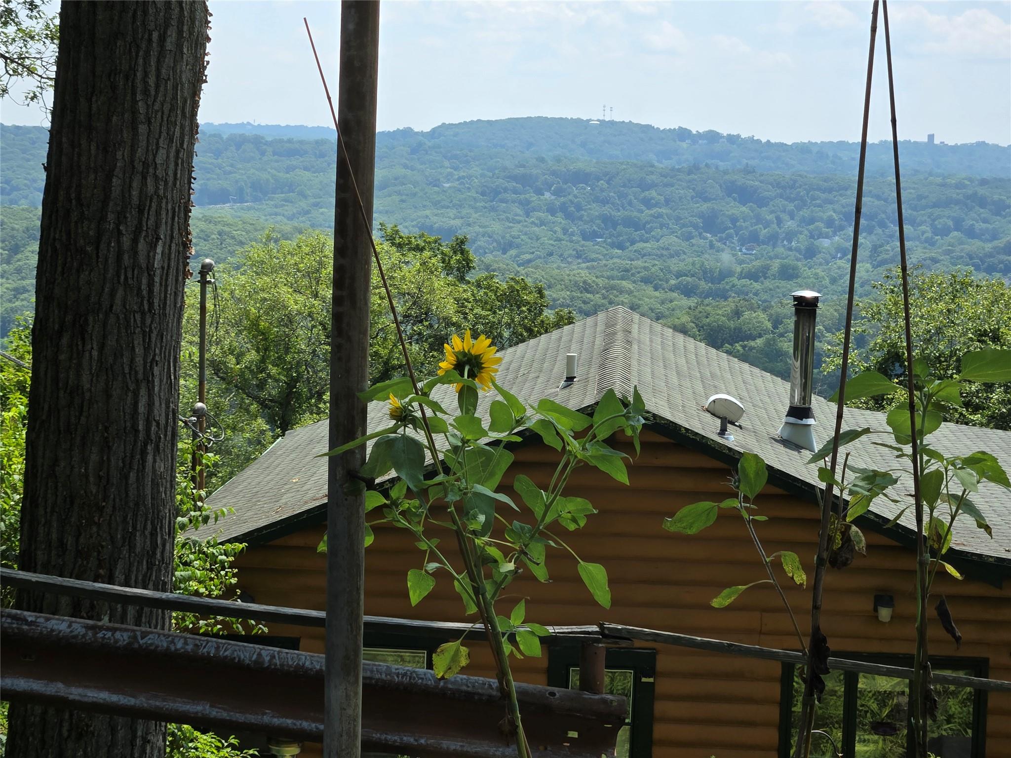 View of mountain backdrop featuring a forest