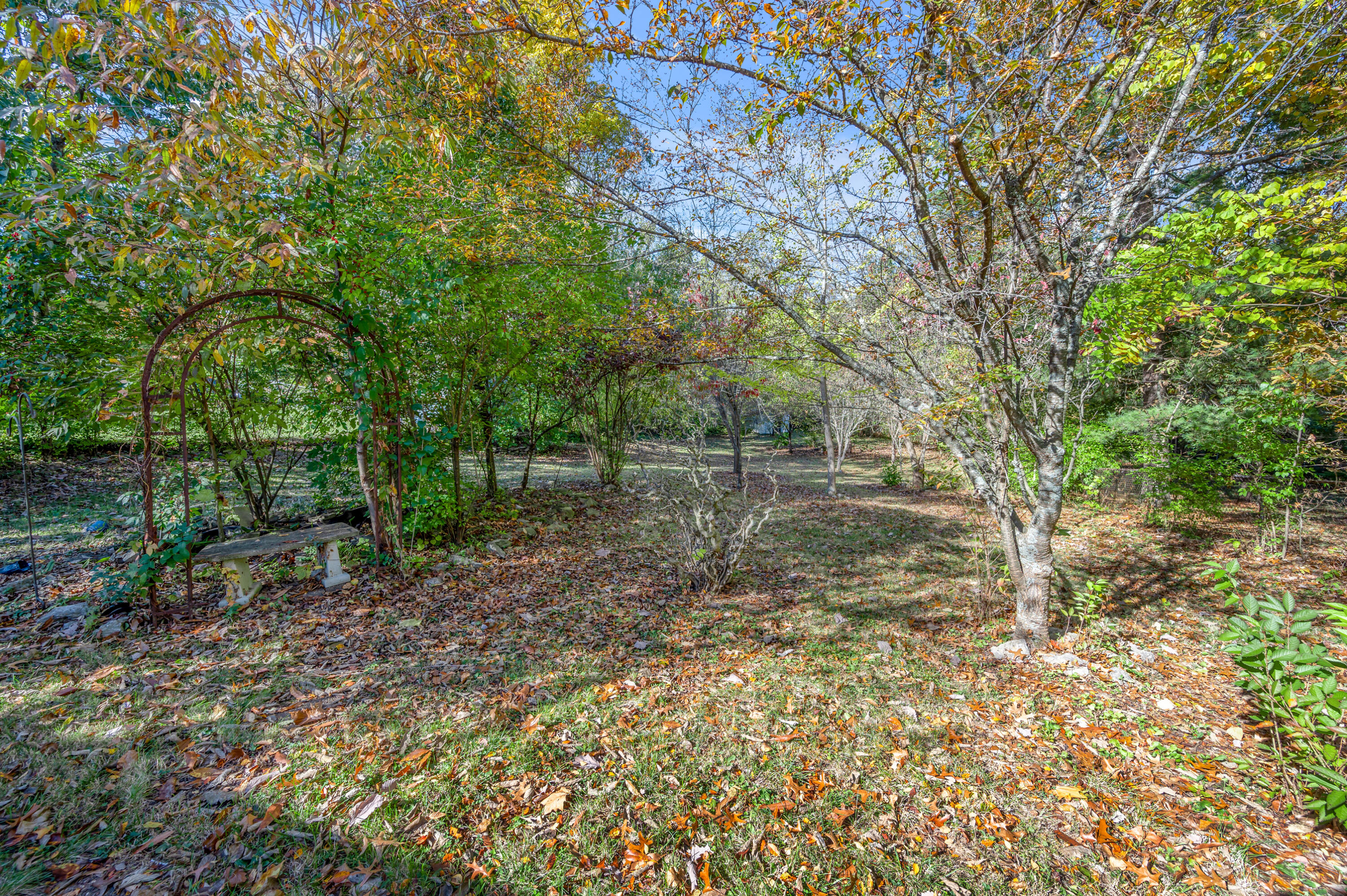 3509 Boston Road Lexington, KY 40503 - Photo 47 of 49 TDB_3121
