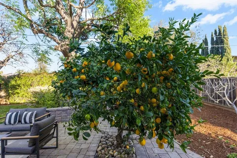 $2,398,000 | 1484 Kingfisher Way, Sunnyvale, CA 94087