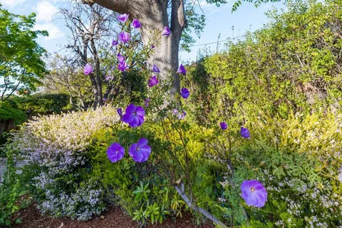 $2,398,000 | 1484 Kingfisher Way, Sunnyvale, CA 94087