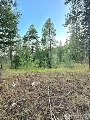 a view of a yard with trees