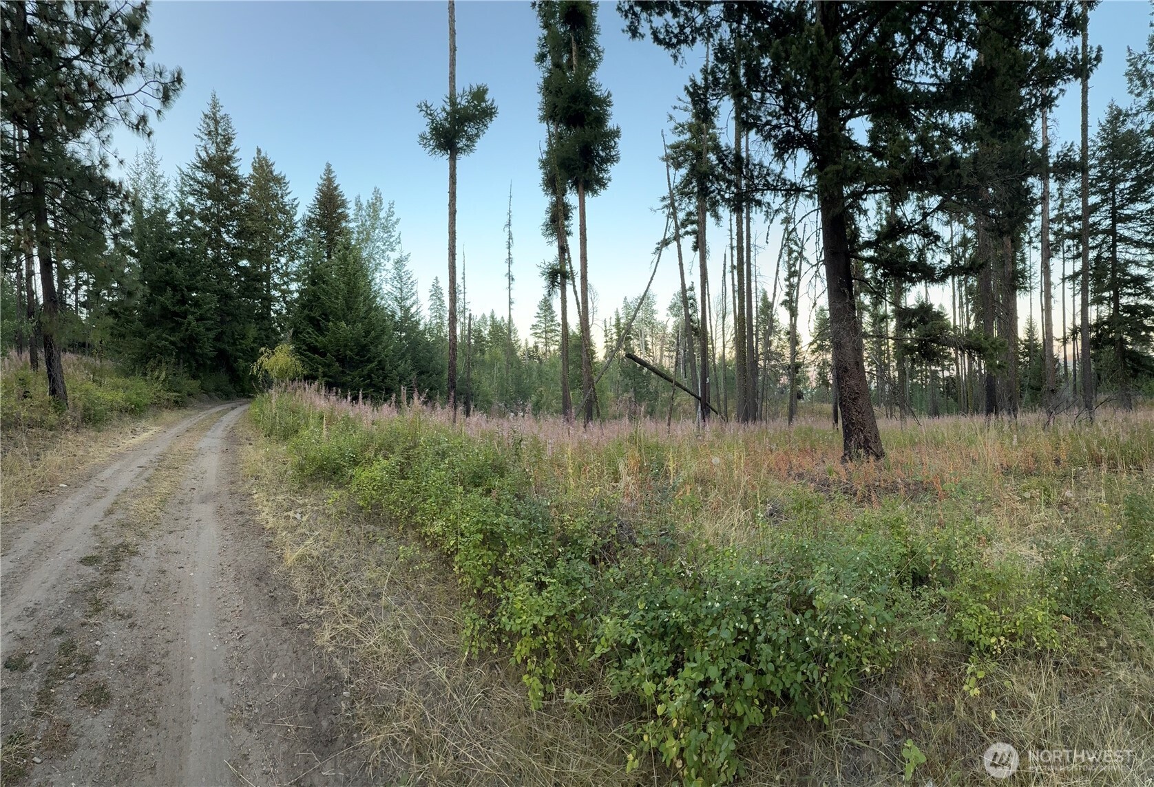 0 Buzzard Lake Road Okanogan, WA 98840 - Photo 13 of 22 a view of backyard with green space