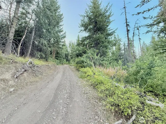 a view of a dirt road with trees in the background