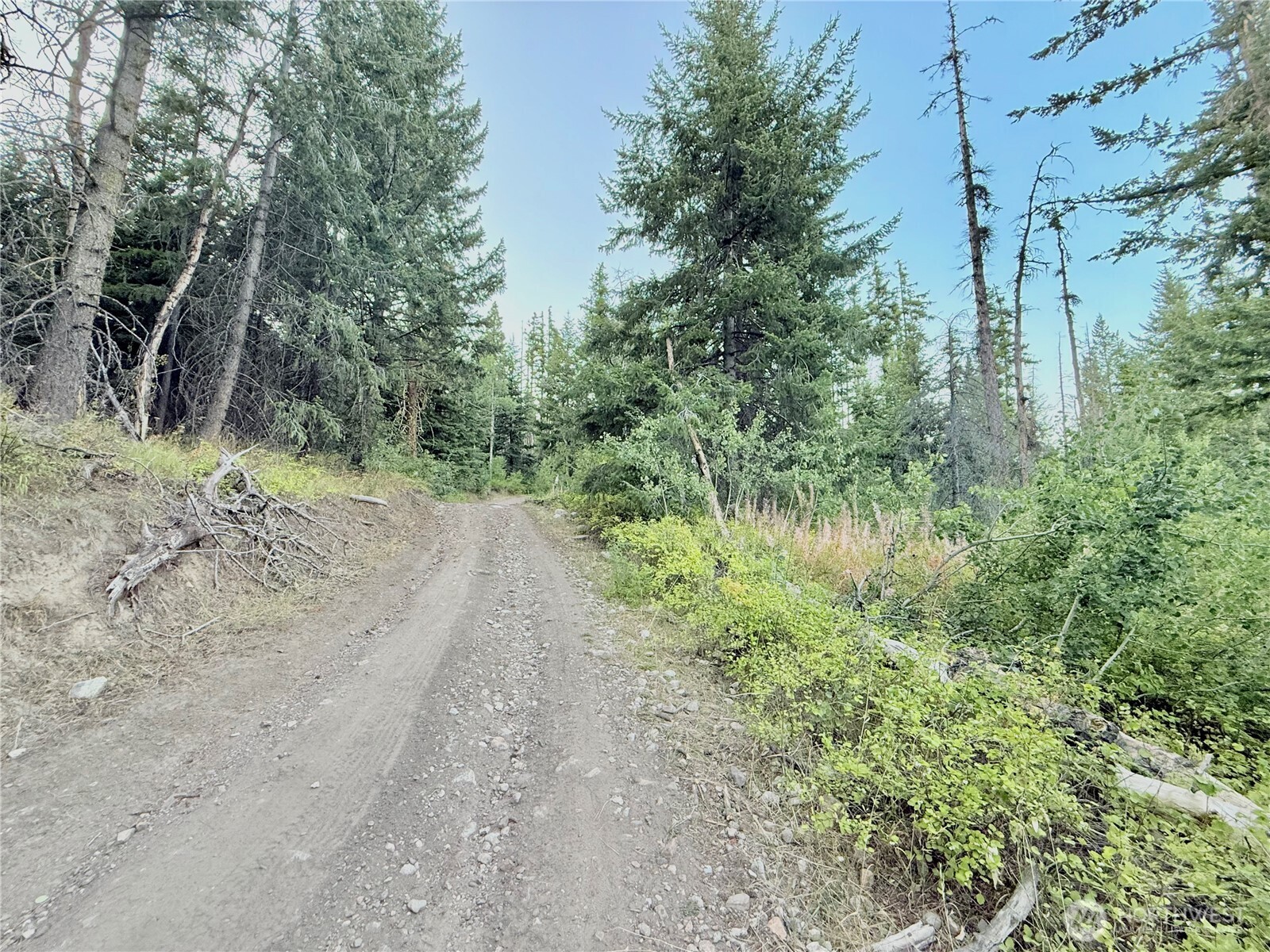 0 Buzzard Lake Road Okanogan, WA 98840 - Photo 15 of 22 a view of a dirt road with trees in the background
