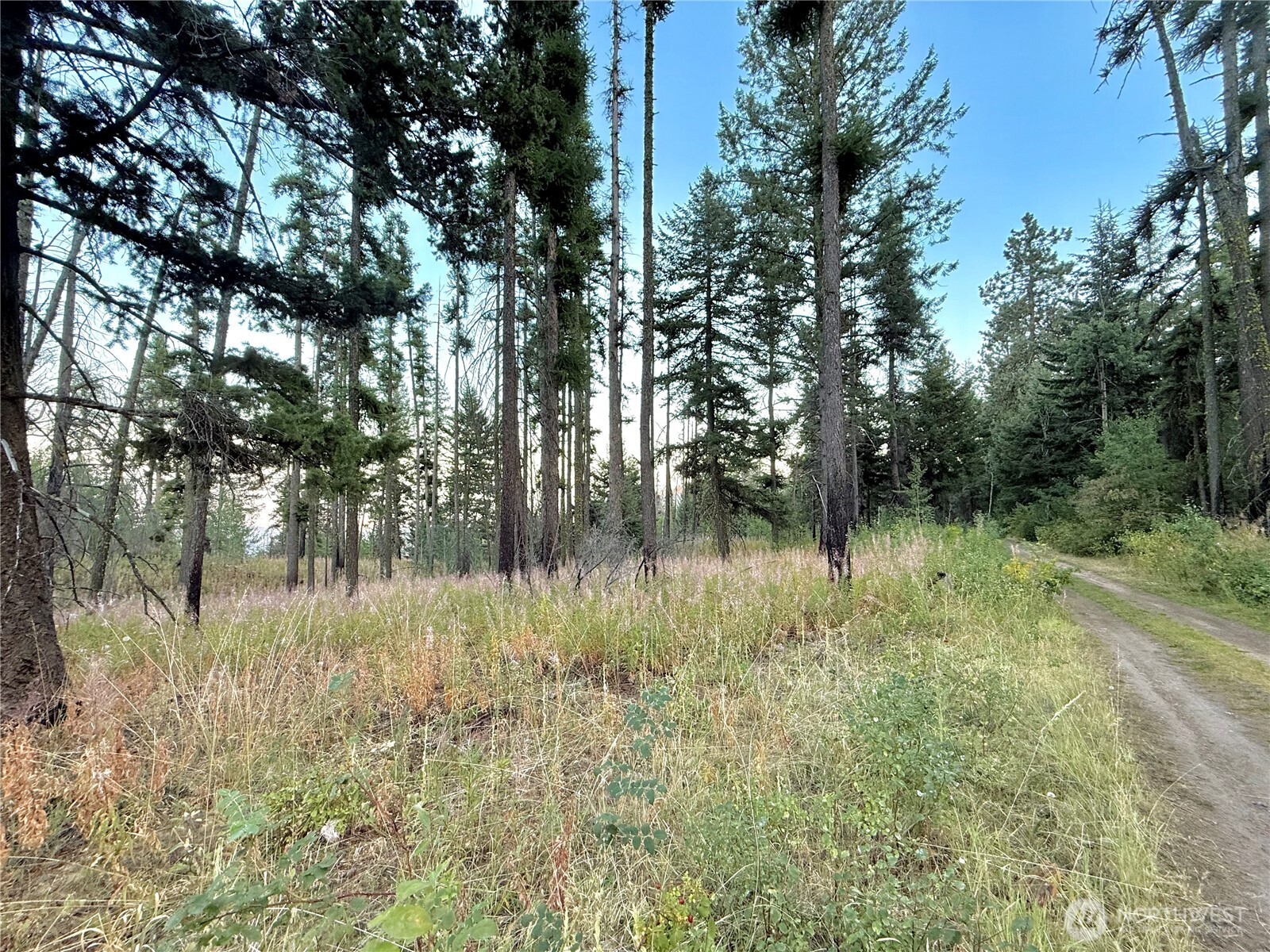 0 Buzzard Lake Road Okanogan, WA 98840 - Photo 17 of 22 a view of lake with green space