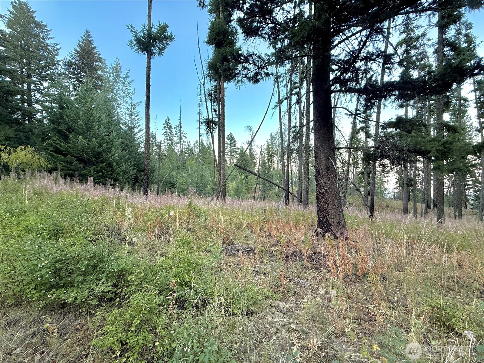 0 Buzzard Lake Road Okanogan, WA 98840 - Photo 18 of 22 a view of lake