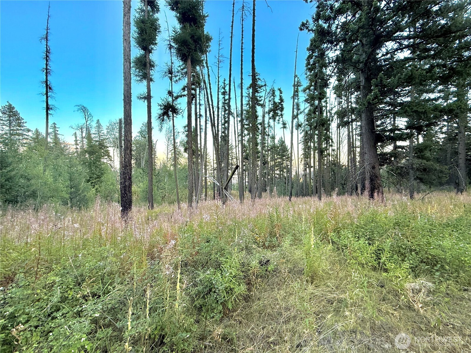 0 Buzzard Lake Road Okanogan, WA 98840 - Photo 19 of 22 a view of lake