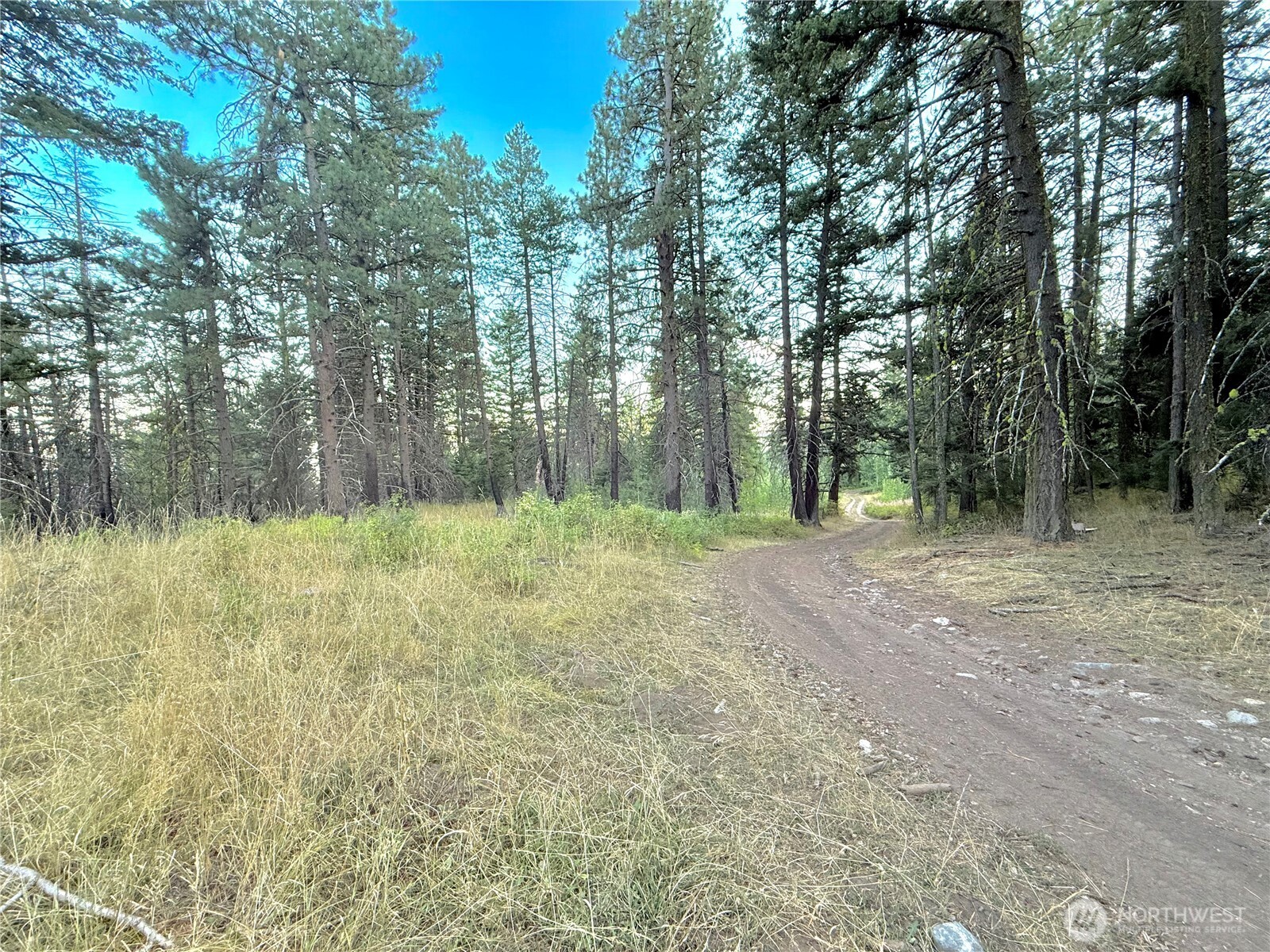 0 Buzzard Lake Road Okanogan, WA 98840 - Photo 21 of 22 a view of outdoor space and yard