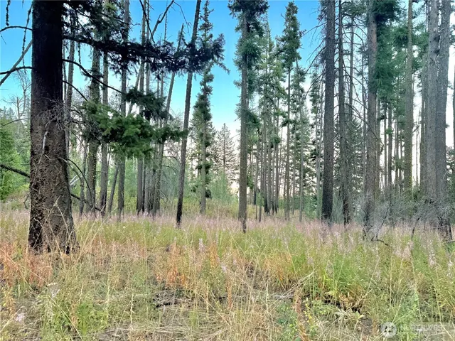 a view of a lake view