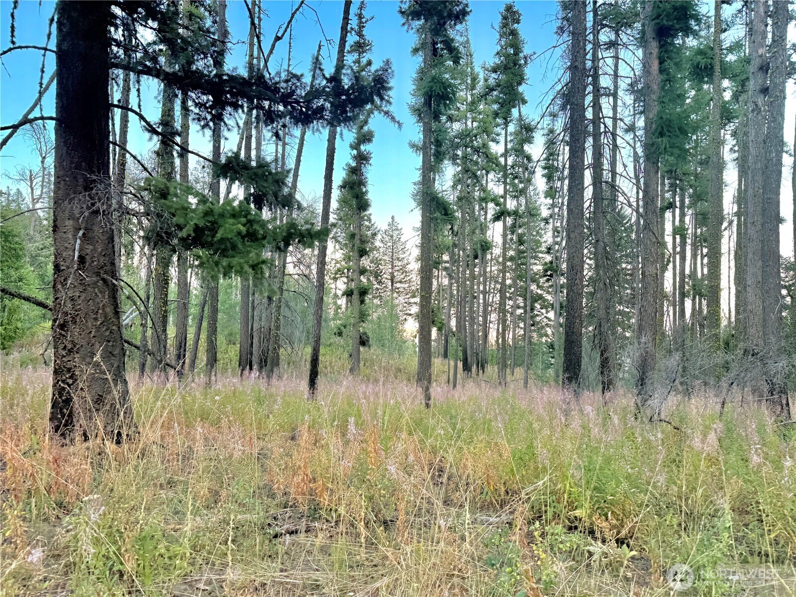 0 Buzzard Lake Road Okanogan, WA 98840 - Photo 22 of 22 a view of a lake view