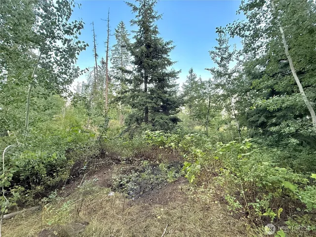 a view of a large yard with lots of bushes