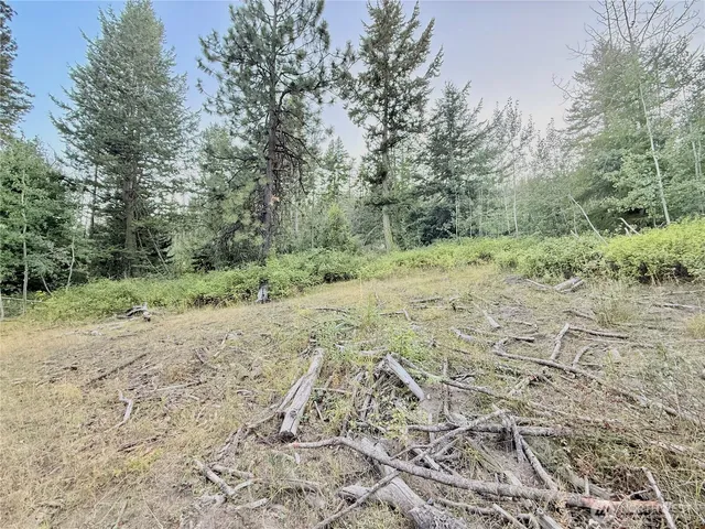 a view of a dry yard with trees