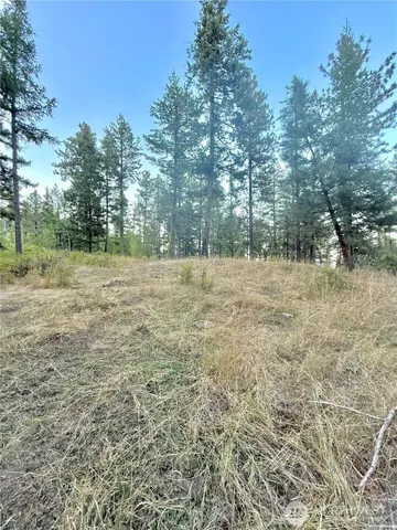 a big yard with trees in the background