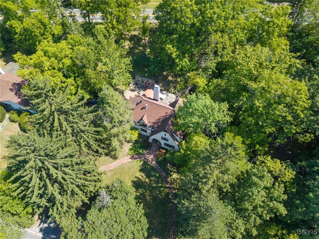 419 Cayuga Heights Road Ithaca Town, NY 14850 - Photo 36 of 44