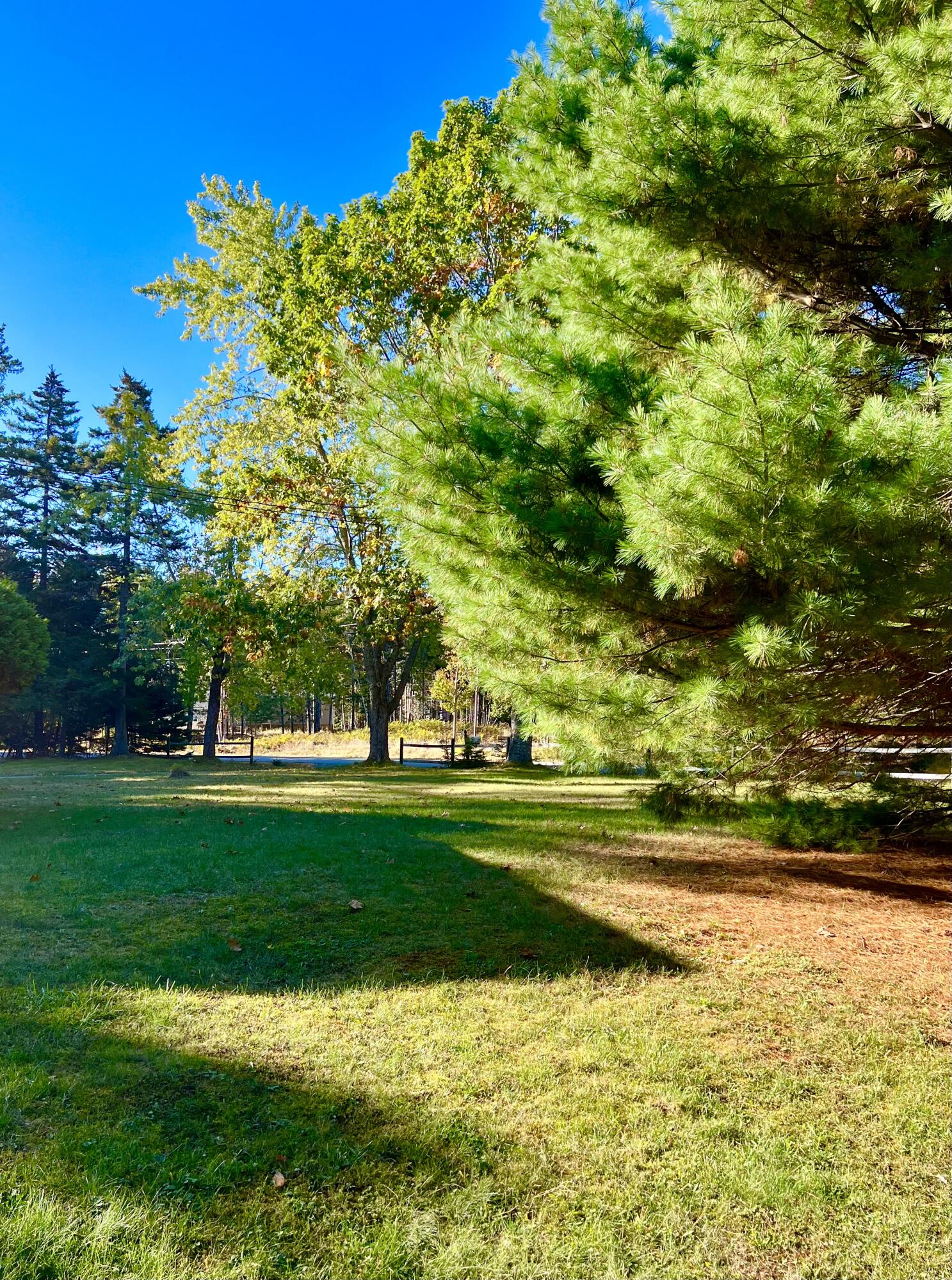 17 Freeman Ridge Road Southwest Harbor, ME 04679 - Photo 48 of 58 Yard