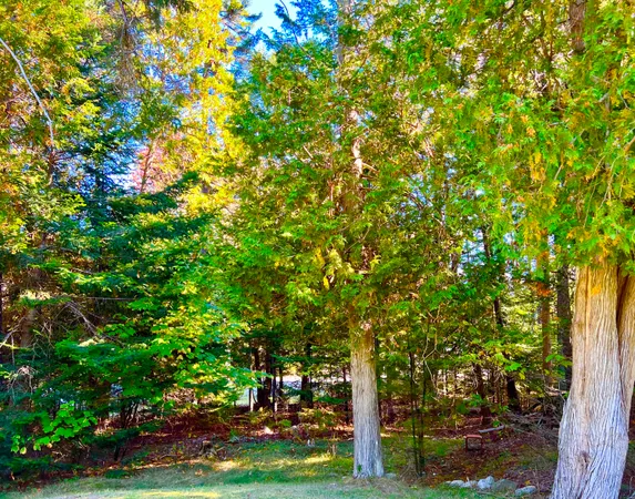 $479,000 | 17 Freeman Ridge Road, Southwest Harbor, ME 04679