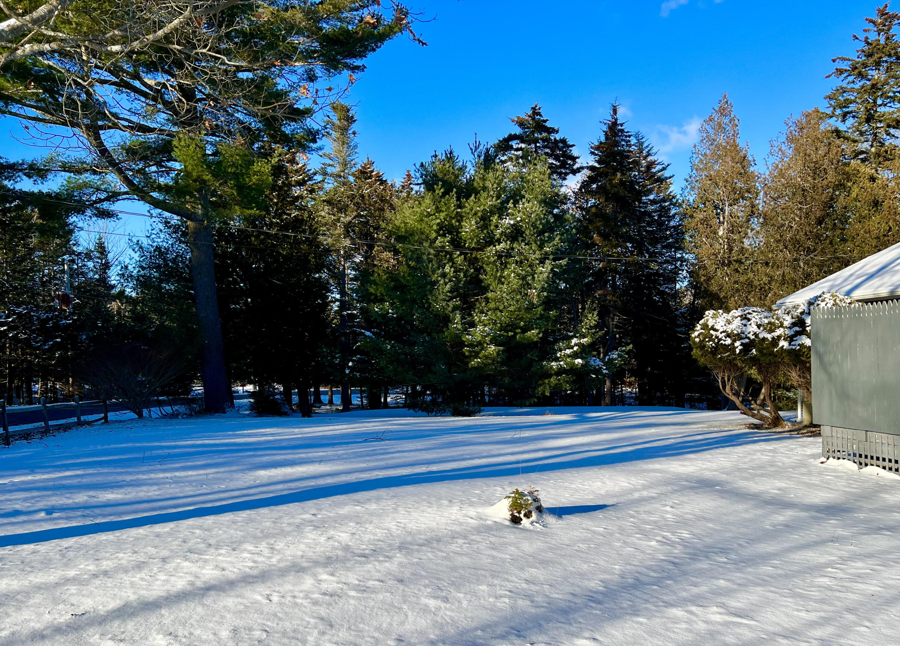17 Freeman Ridge Road Southwest Harbor, ME 04679 - Photo 56 of 58 Front yard after a snow
