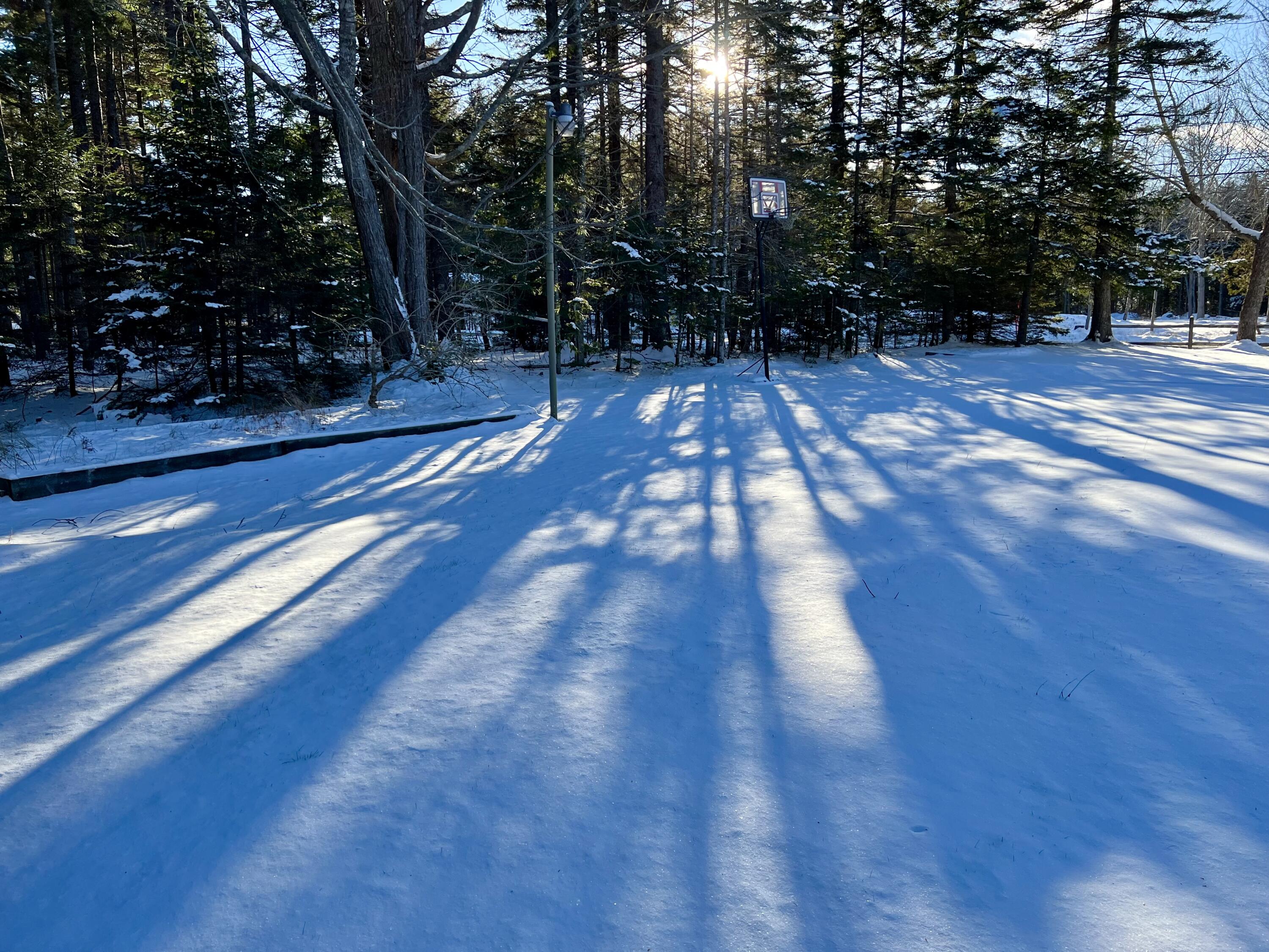 17 Freeman Ridge Road Southwest Harbor, ME 04679 - Photo 57 of 58 Yard in the winter