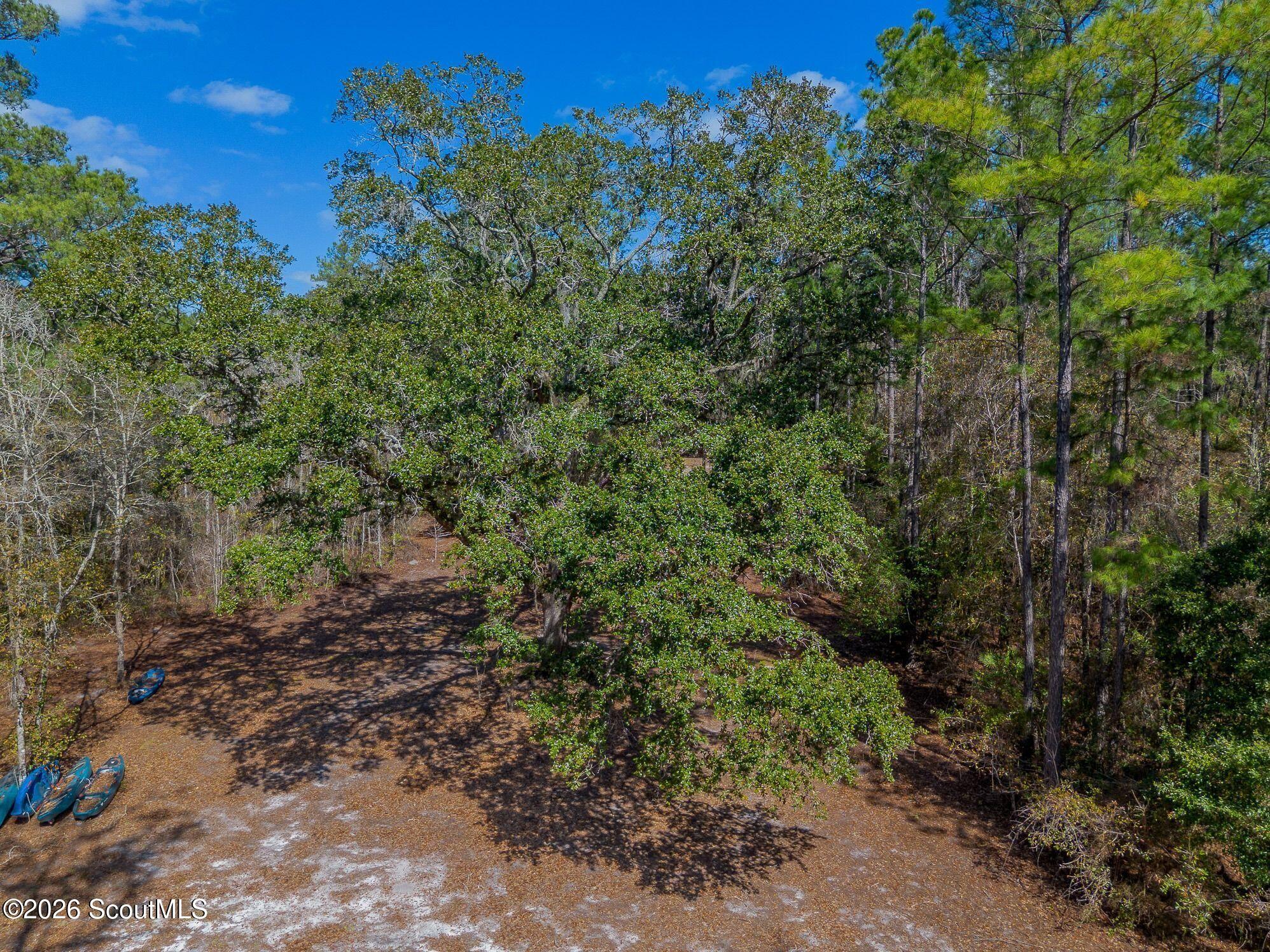 12321 Highway 185 St. George, GA 31562 - Photo 40 of 57 52-AC-SR-185-ST-GEORGE-GA-10