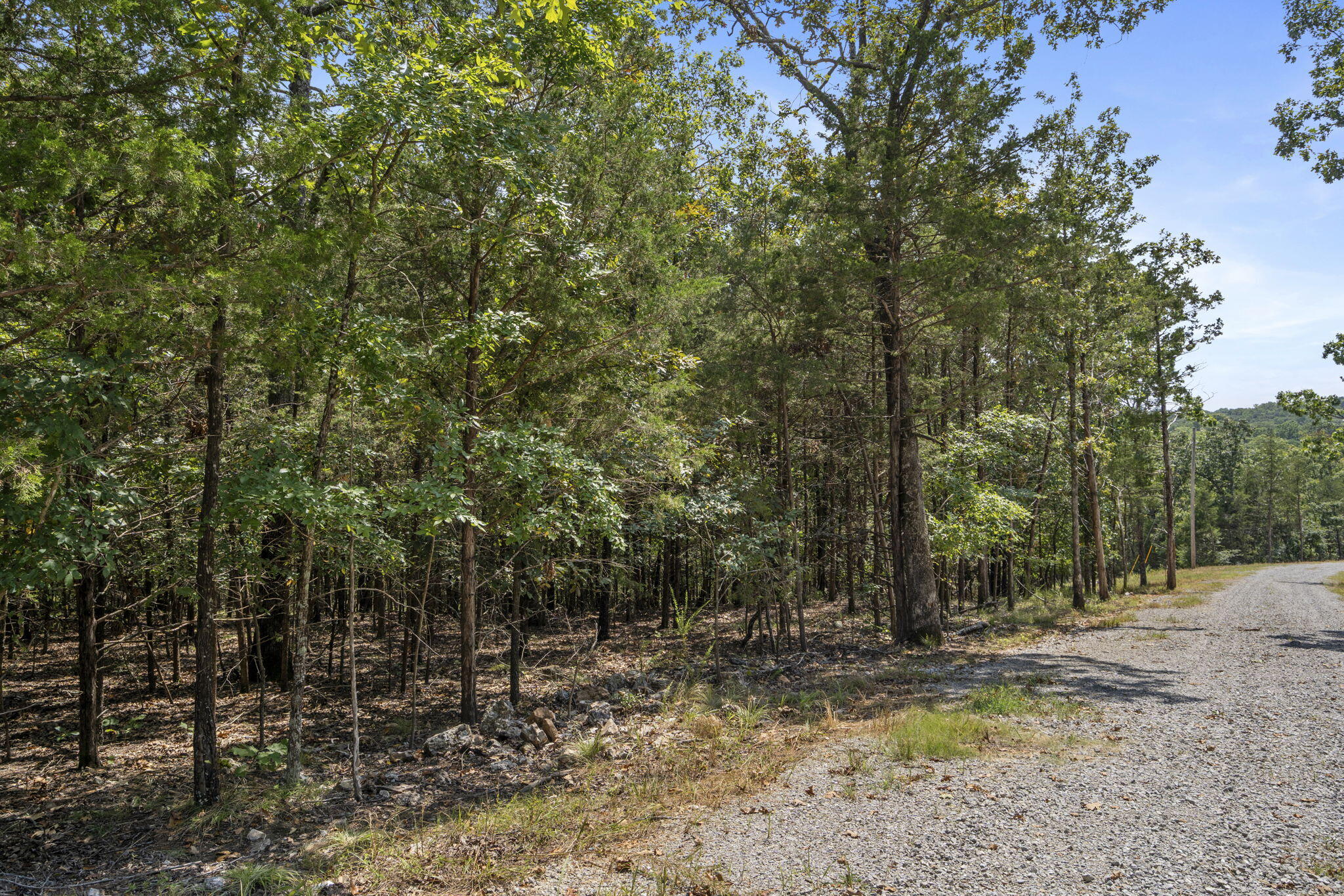 Tbd Blf Vw Road Shell Knob, MO 65747 - Photo 24 of 61 Tbd-Bluff-View-Rd-Lake-View-Acre