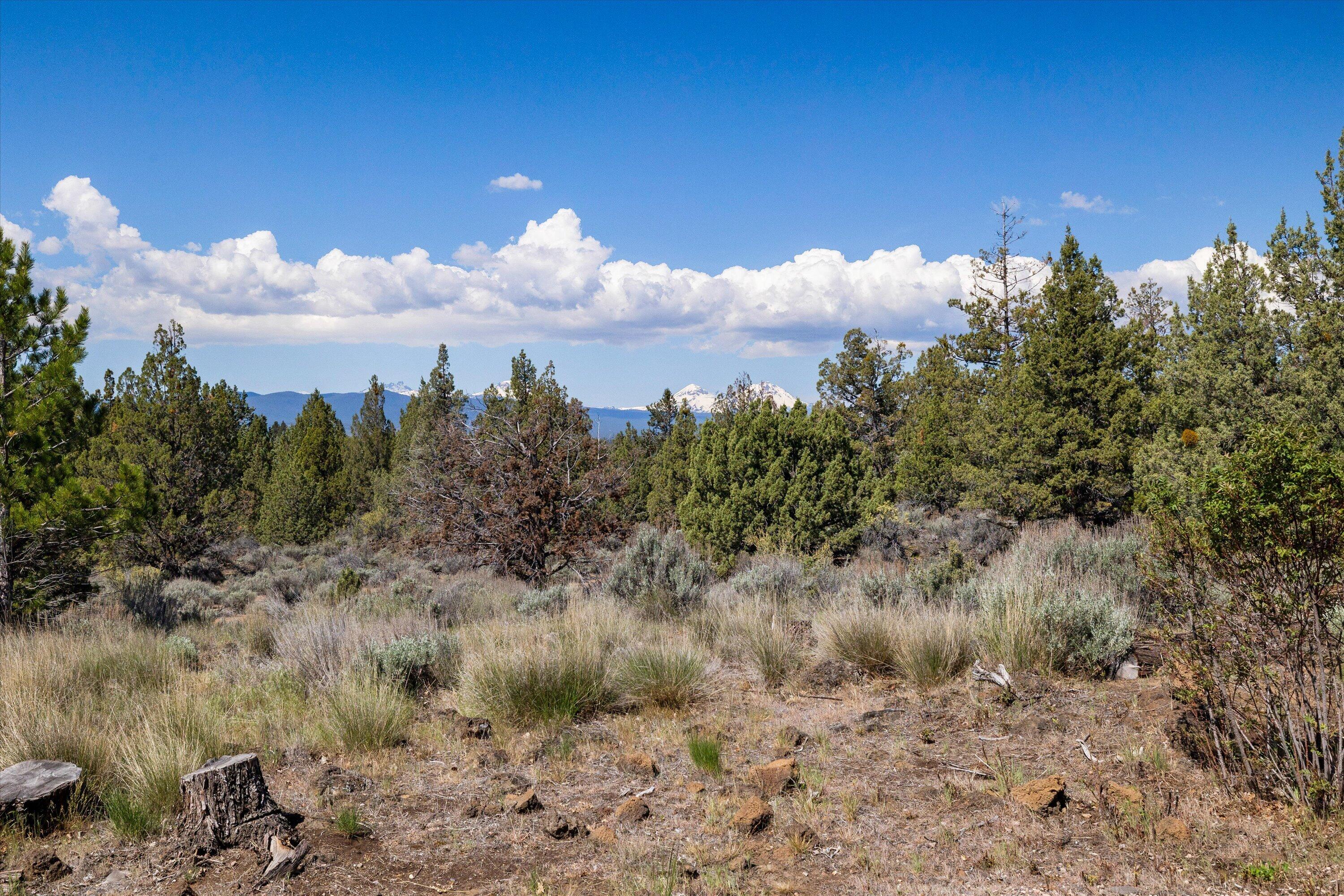 64155 Hunnell Road Bend, OR 97703 - Photo 18 of 96 The Central Oregon outdoors is your backyard.