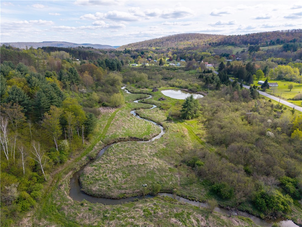 0 County Route 13 Bath, NY 14810 - Photo 2 of 26