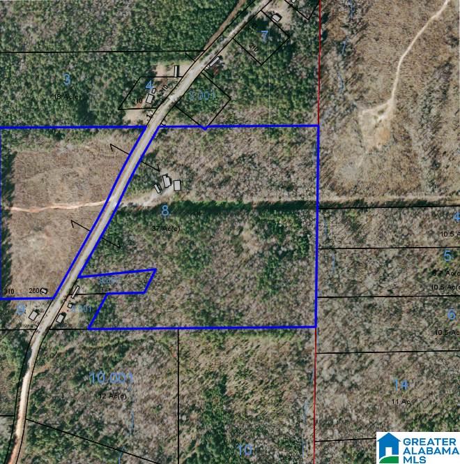 1652 County Road 101 Kellyton, AL 35089 - Photo 1 of 28
