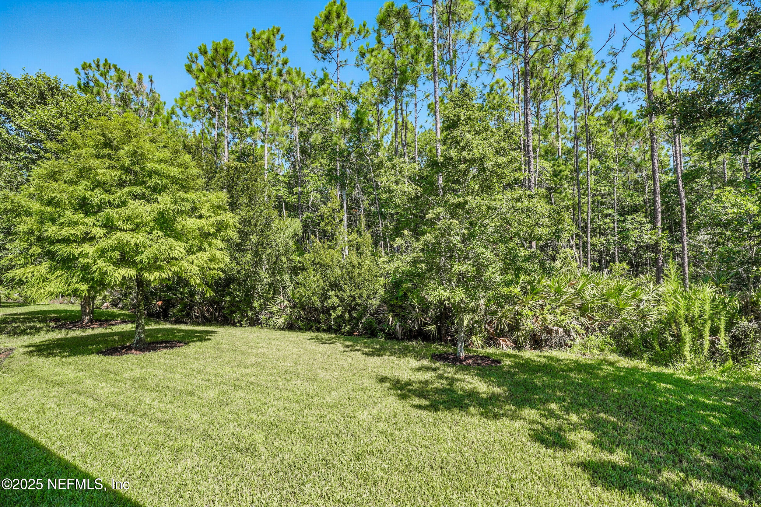 300 Shadow Rdg Trail Ponte Vedra, FL 32081 - Photo 25 of 47 Backyard