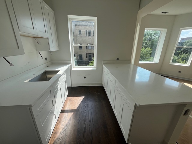 3726 North Racine Avenue, Unit 3 Chicago, IL 60613 - Photo 3 of 37 Gallery Image 3