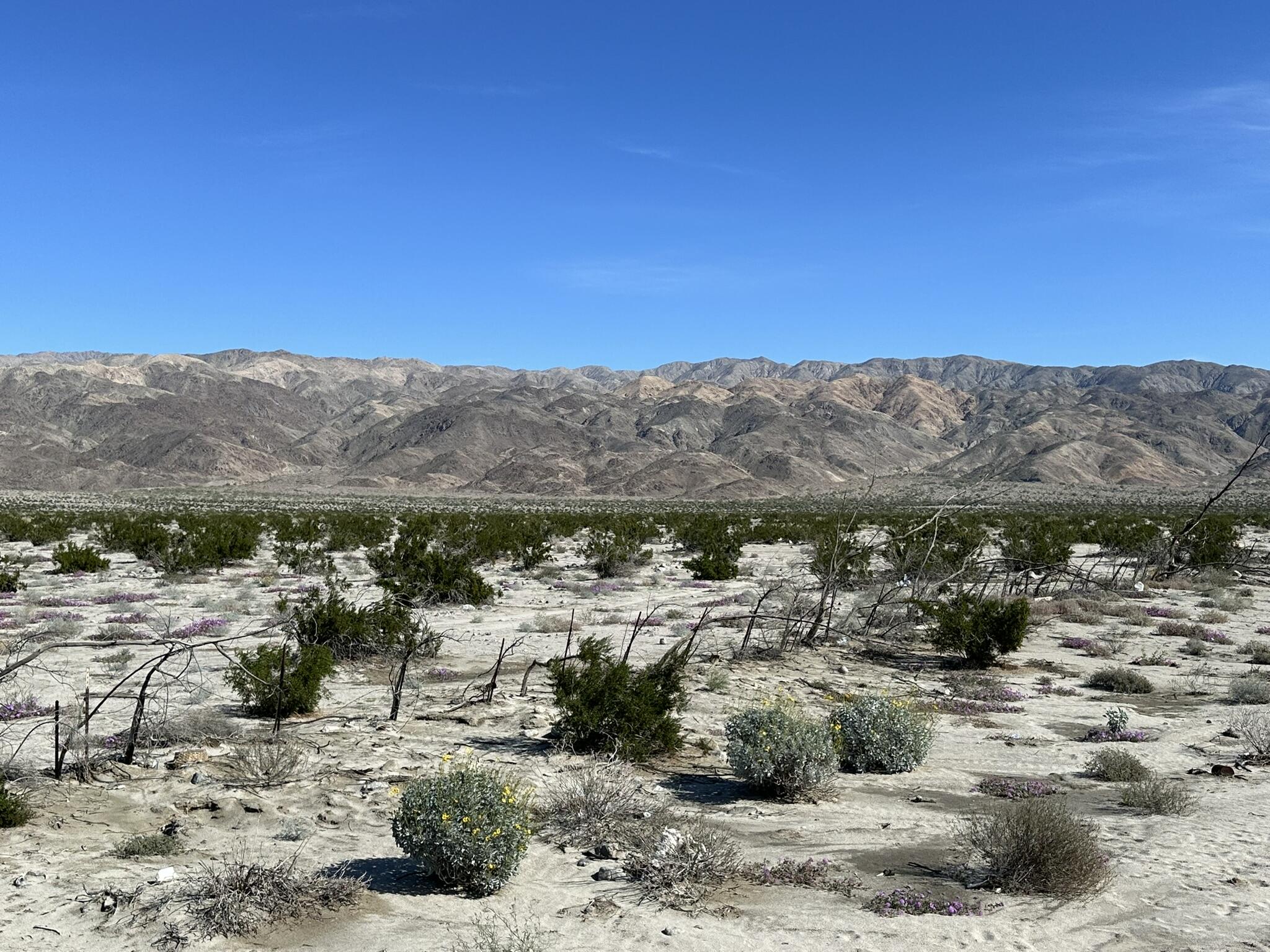 39200 Dillon Road Indio, CA 92203 - Photo 12 of 22 a view of a town with mountains in the background
