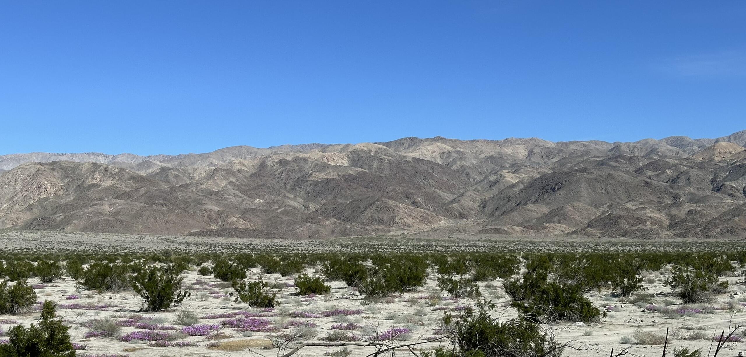 39200 Dillon Road Indio, CA 92203 - Photo 13 of 22 a view of a lake with a mountain