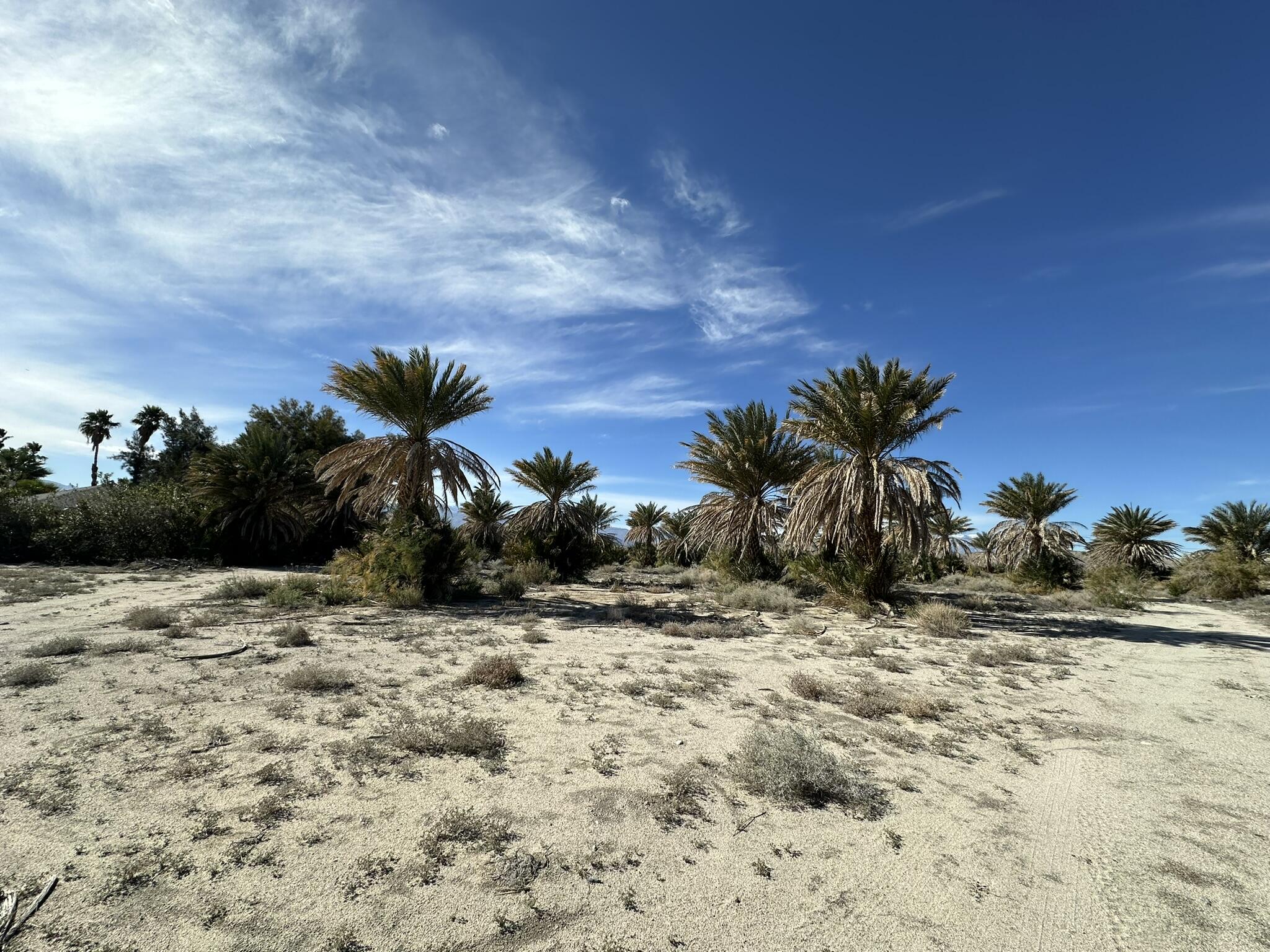 39200 Dillon Road Indio, CA 92203 - Photo 21 of 22 a view of a dry yard with a barn
