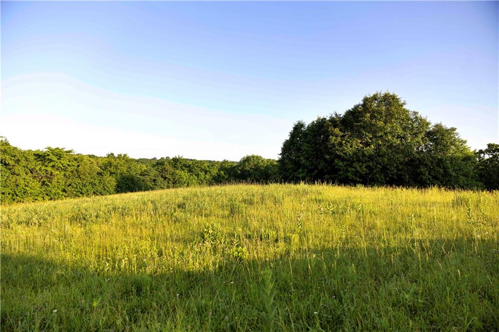 Wilderness Camp Road Lawson, MO 64062 - Photo 48 of 90