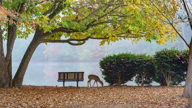 $2,950 | 320 6 Branches Court, Roswell, GA 30076