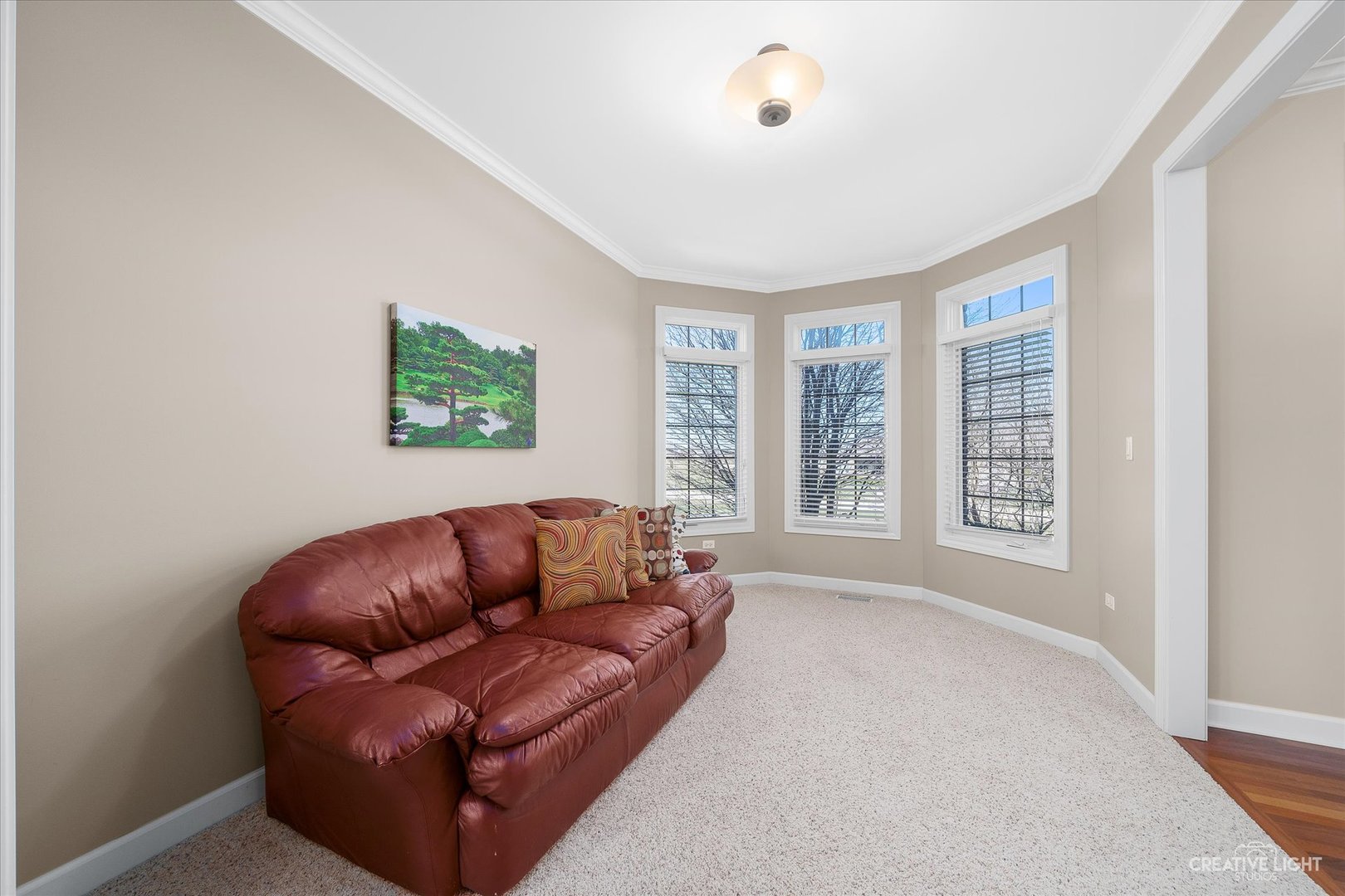 15610 Prospect Hill Road Newark, IL 60541 - Photo 7 of 34 Gallery Image 7