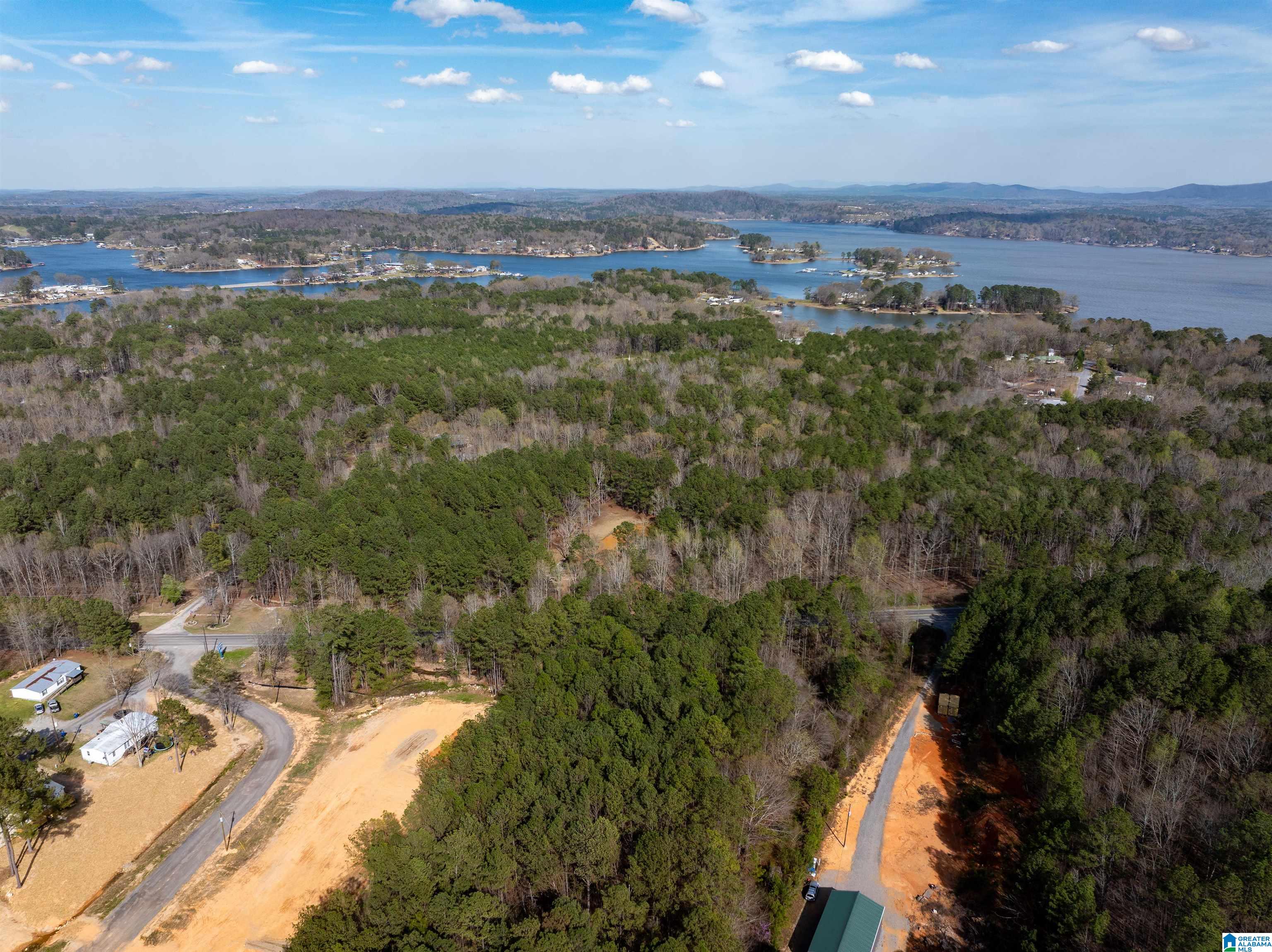2300 Logan Martin Dam Road Vincent, AL 35178 - Photo 31 of 36 Gallery Image 31
