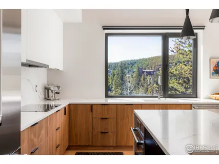 $2,395,000 | 103 Wildewood Drive, Nederland, CO 80466