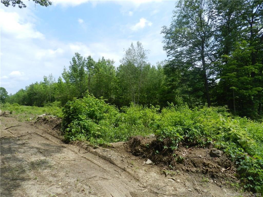 20 A Judd Farm Road Watertown, CT 06795 - Photo 1 of 1