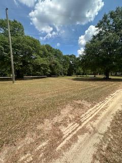 1029 Horseshoe Road Augusta, GA 30906 - Photo 11 of 15 IMG_8647